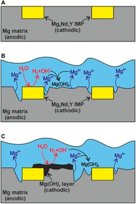 Corrigendum: Rare Earth Based Magnesium Alloys—A Review on WE Series